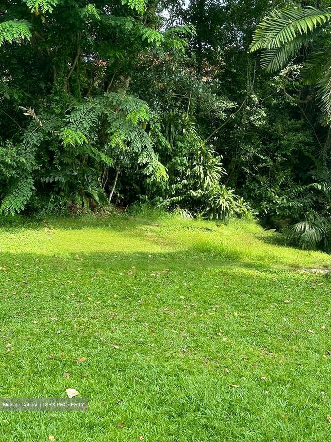 Mount Pleasant Road (D11), Detached #439402531